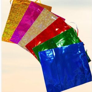 HM220-14 Paquete 12 pzas Bolsa de regalo holográfica GRANDE 30 CM X 25 CM