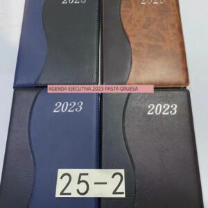 MD040 Agenda Ejecutiva 2023