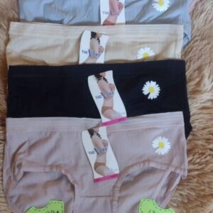 1347 Calzon Con Detalle De Flor