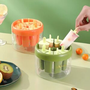 Molde para paletas de hielo