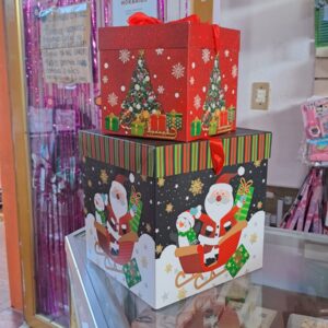 Caja de regalo GRANDE