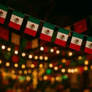 Guía de bandera de tela delgada $15 pz $20 por 2 piezas