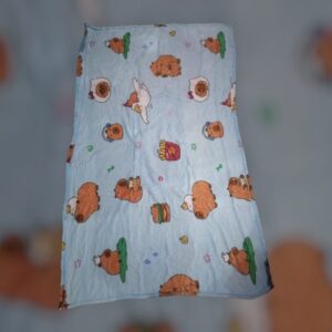 Cojín frazada animado